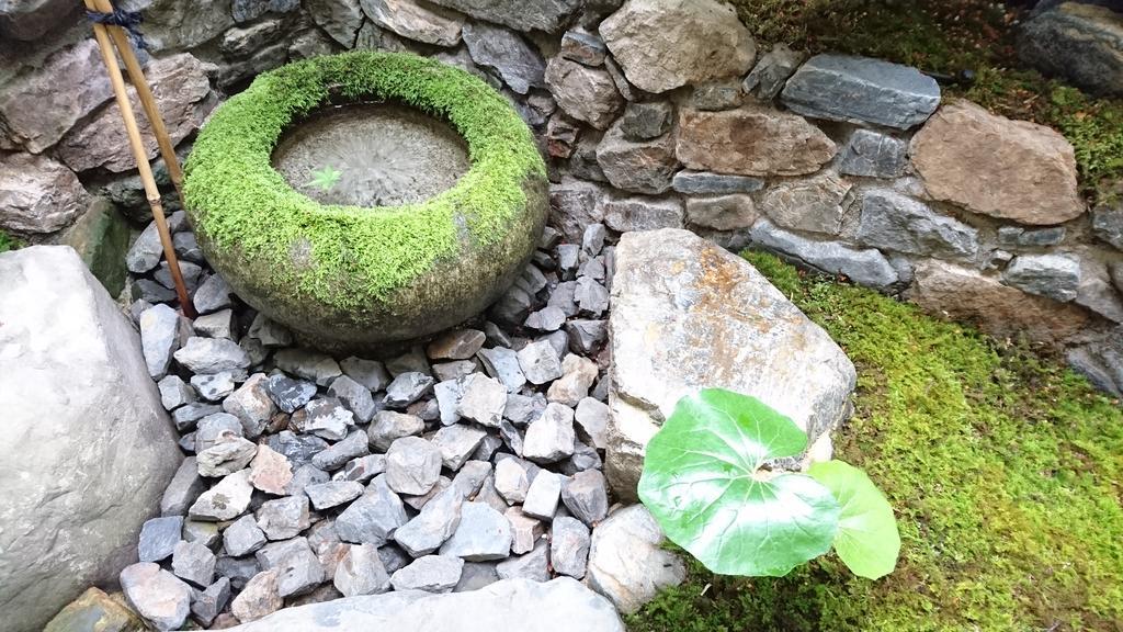 Yunokian Villa Kyoto Exteriör bild